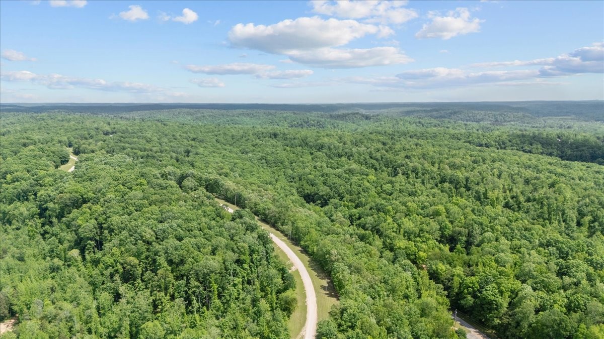 0 Rustic Valley Drive Waverly TN 37185