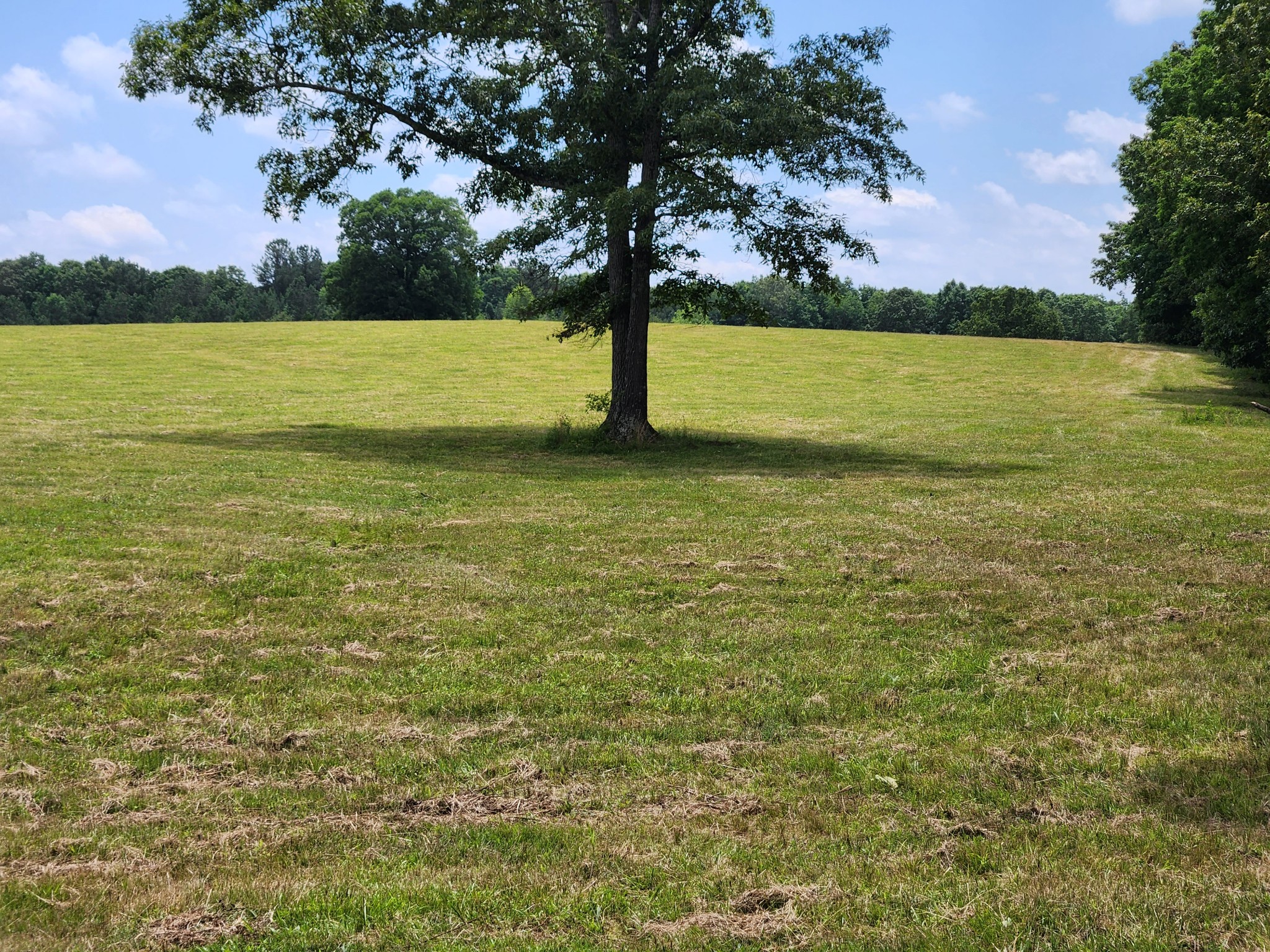 0 Pinewood Road Nunnelly TN 37137