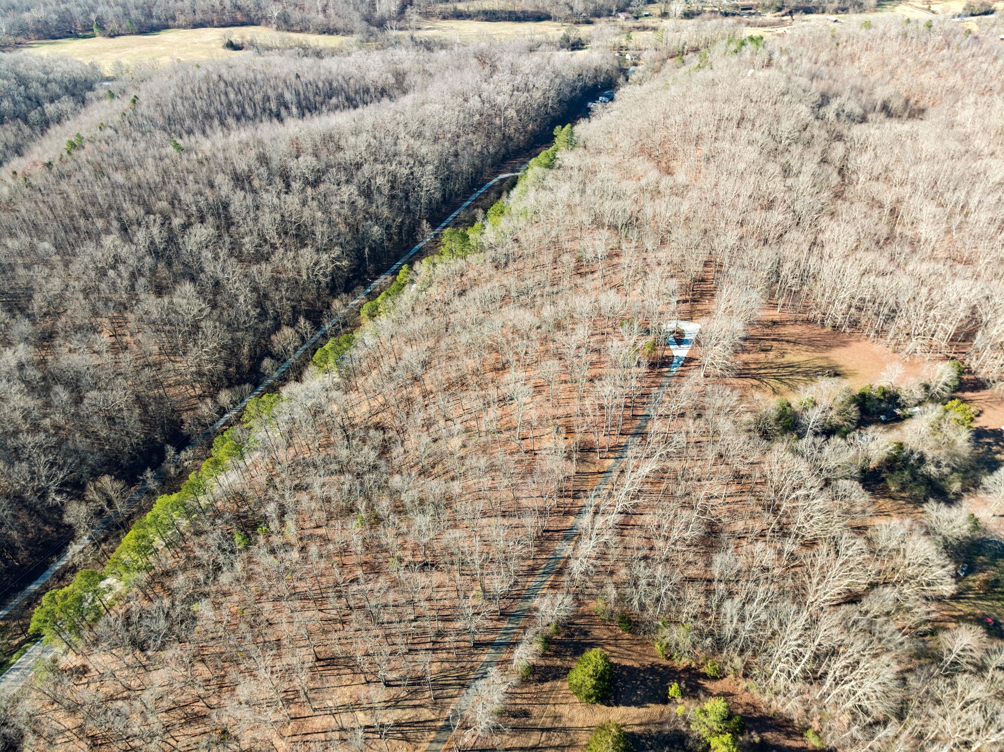 0 Highway 50 East Centerville TN 37033
