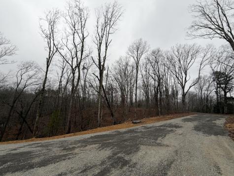0 Highway 50 East Centerville TN 37033