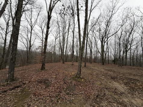 0 Highway 50 East Centerville TN 37033