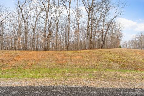0 Riverwatch Trace Sparta TN 38583