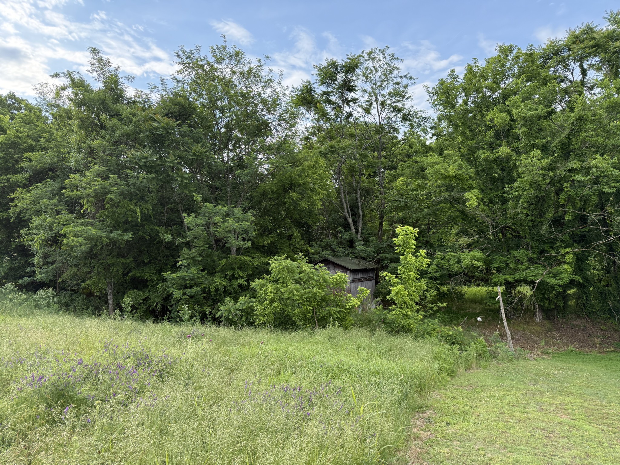 328 Young Branch Road Dixon Springs TN 37057