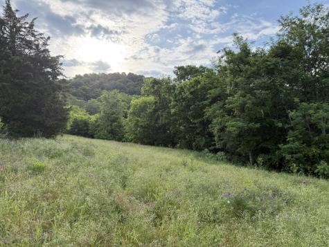 328 Young Branch Road Dixon Springs TN 37057