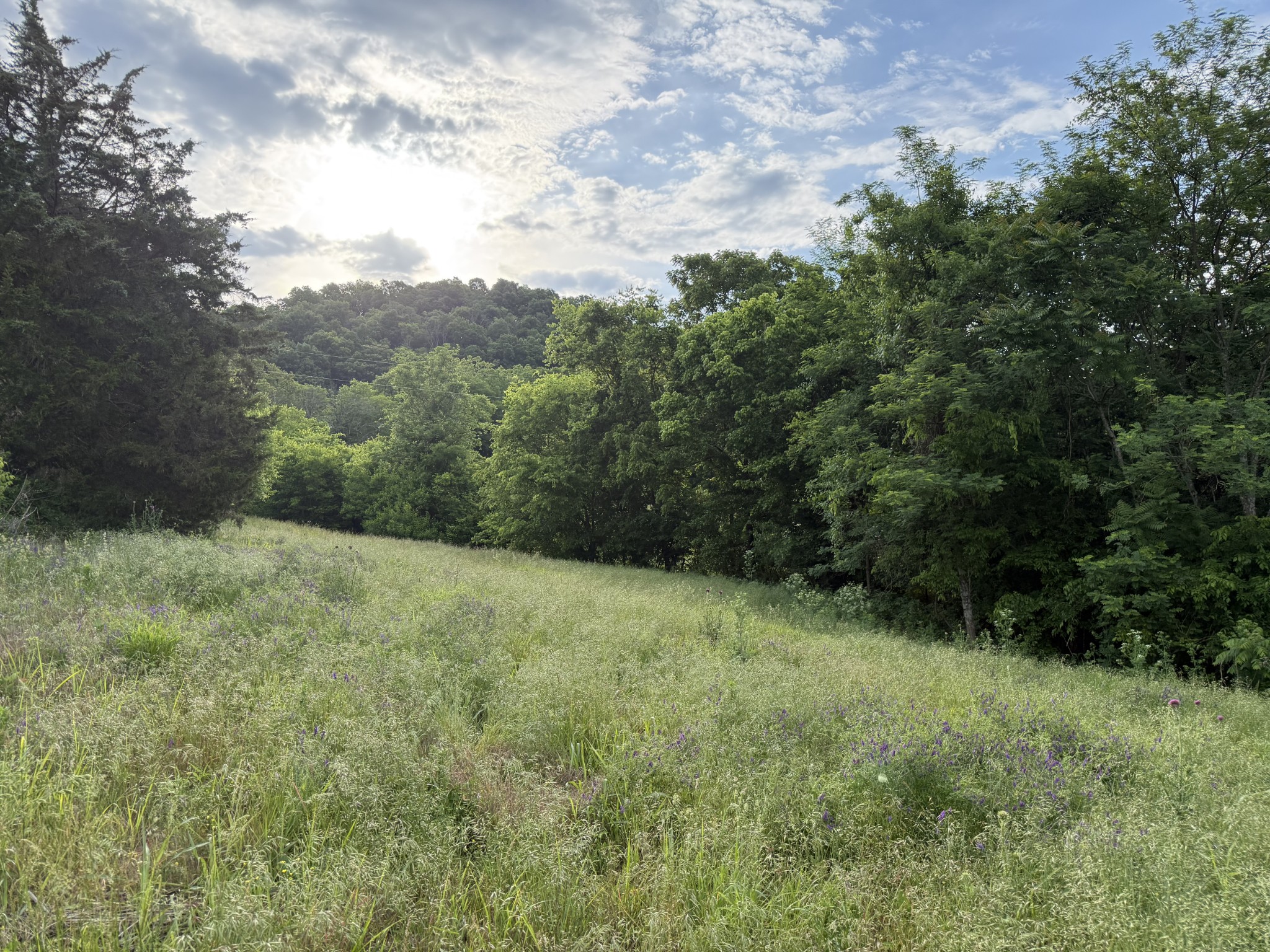 328 Young Branch Road Dixon Springs TN 37057