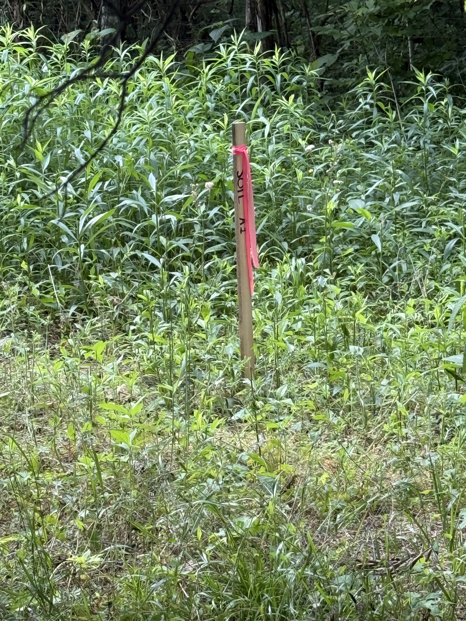 328 Young Branch Road Dixon Springs TN 37057