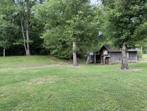 328 Young Branch Road Dixon Springs TN 37057