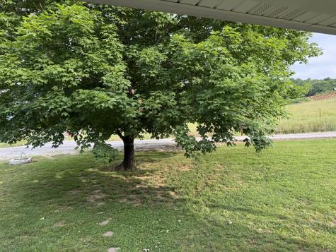 328 Young Branch Road Dixon Springs TN 37057