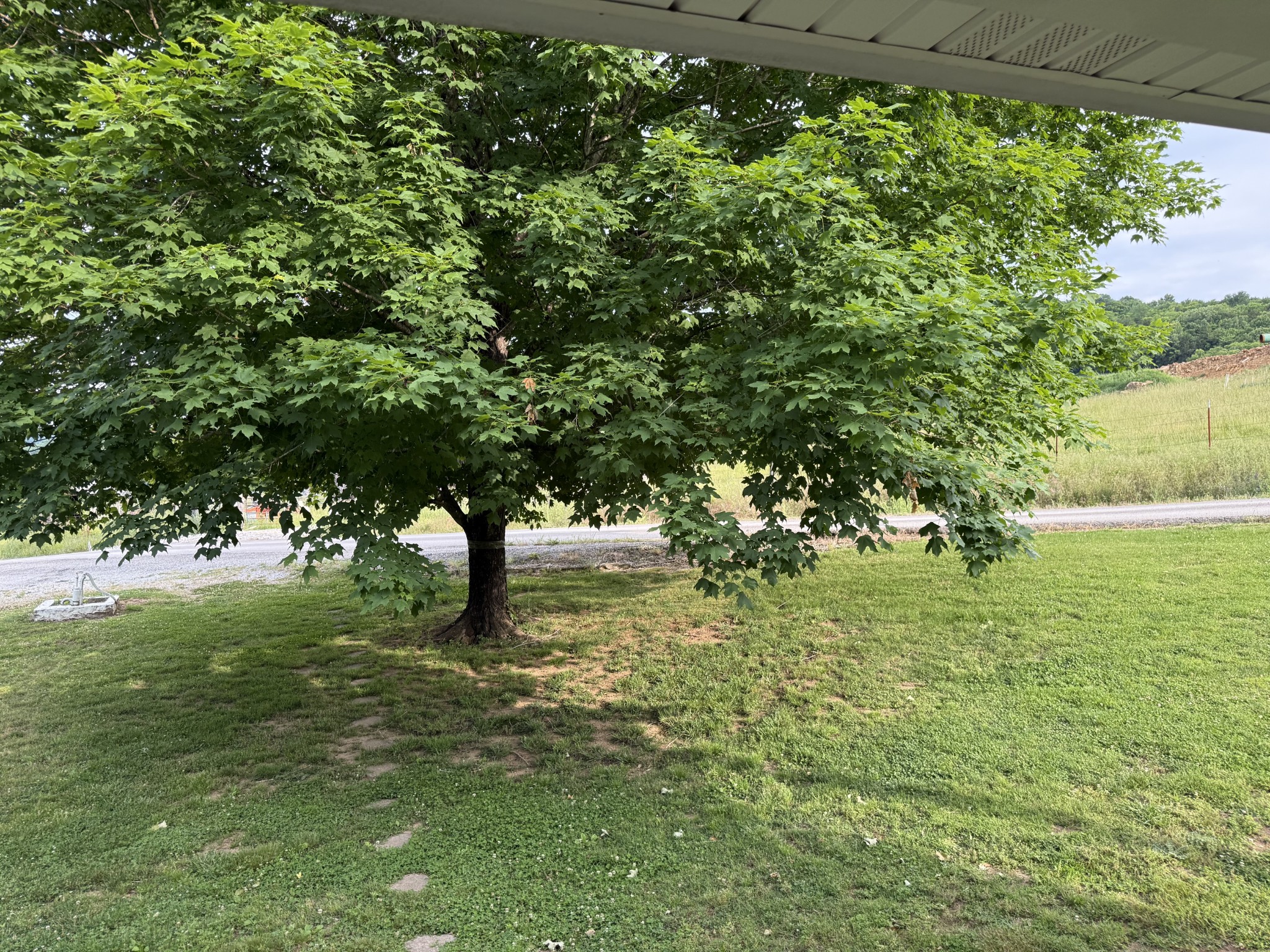 328 Young Branch Road Dixon Springs TN 37057