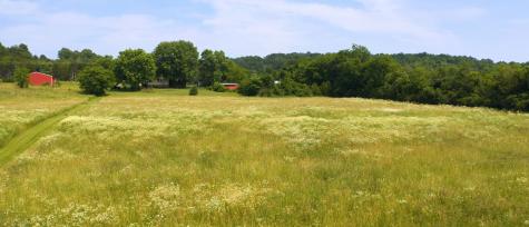 3460 Bradyville Road Readyville TN 37149