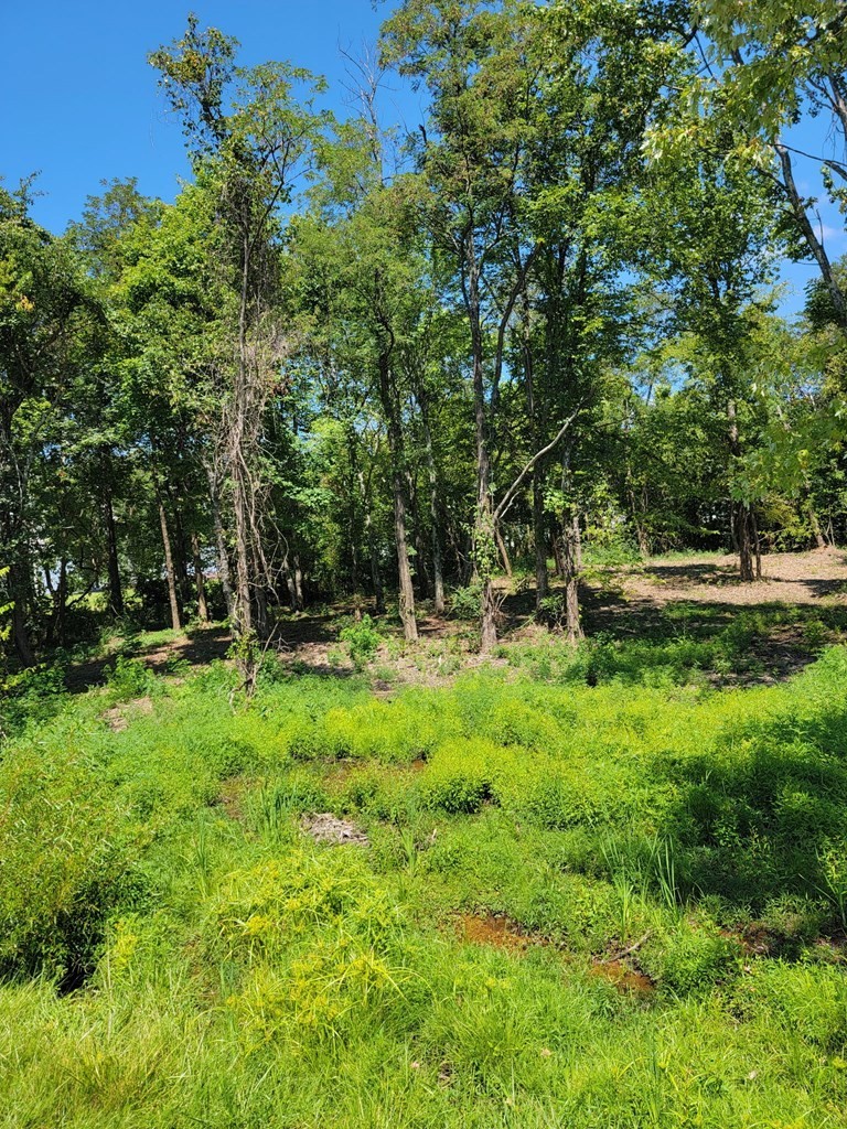 204 Vandy Circle Sparta TN 38583