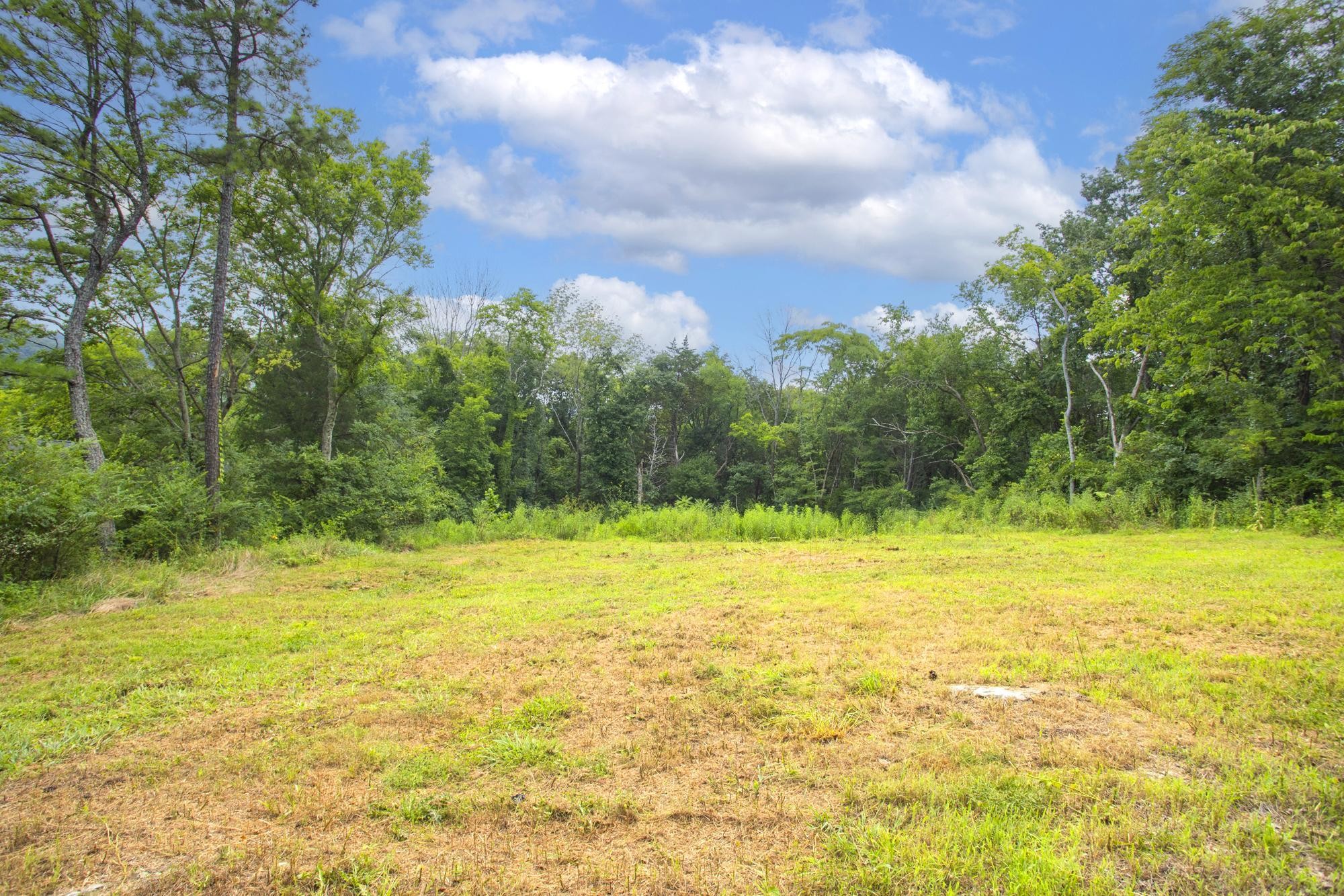 4251 Brick Church Pike Whites Creek TN 37189