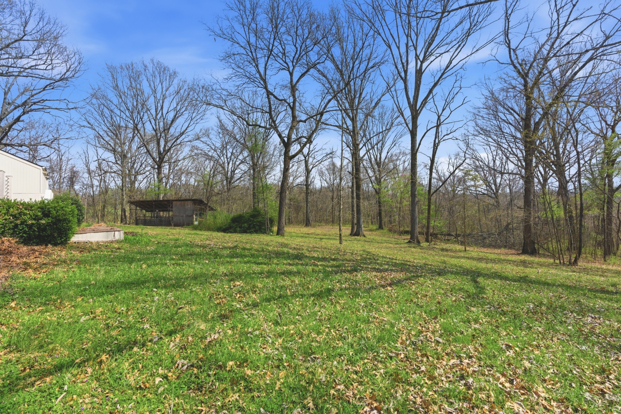 8267 Hawkins Road College Grove TN 37046