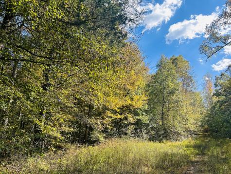 0 Highway 128 Clifton TN 38425