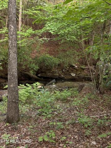 0 Genesis Road - 10.14 Acres Crossville TN 38571