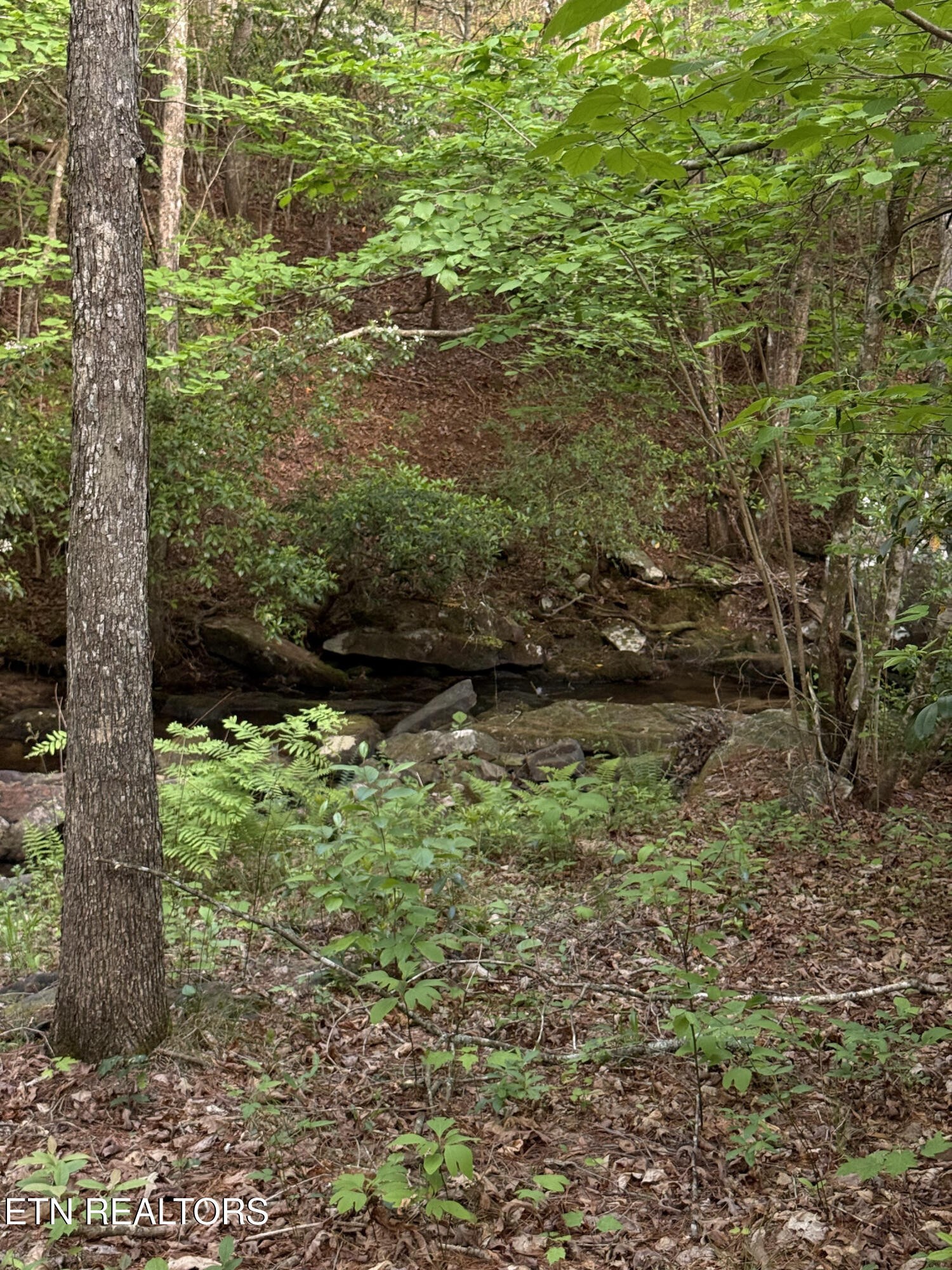 0 Genesis Road - 10.14 Acres Crossville TN 38571