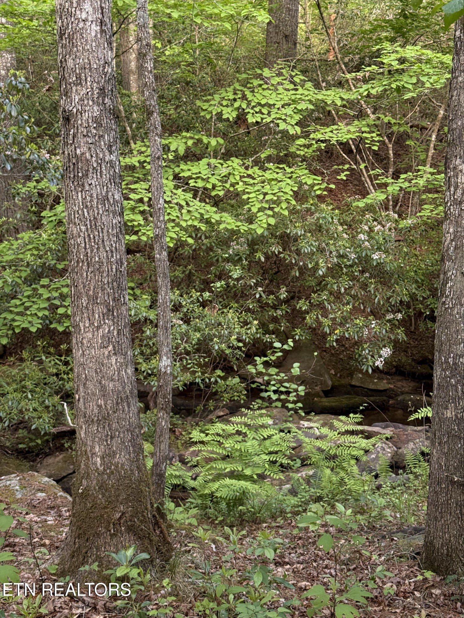 0 Genesis Road - 10.14 Acres Crossville TN 38571