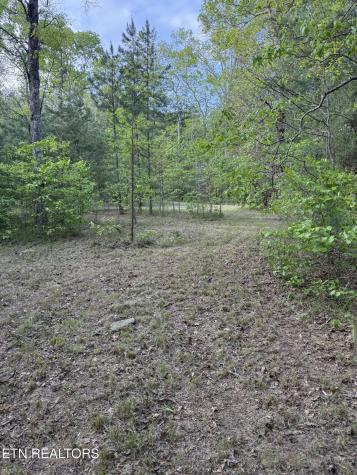 0 Genesis Road - 10.14 Acres Crossville TN 38571
