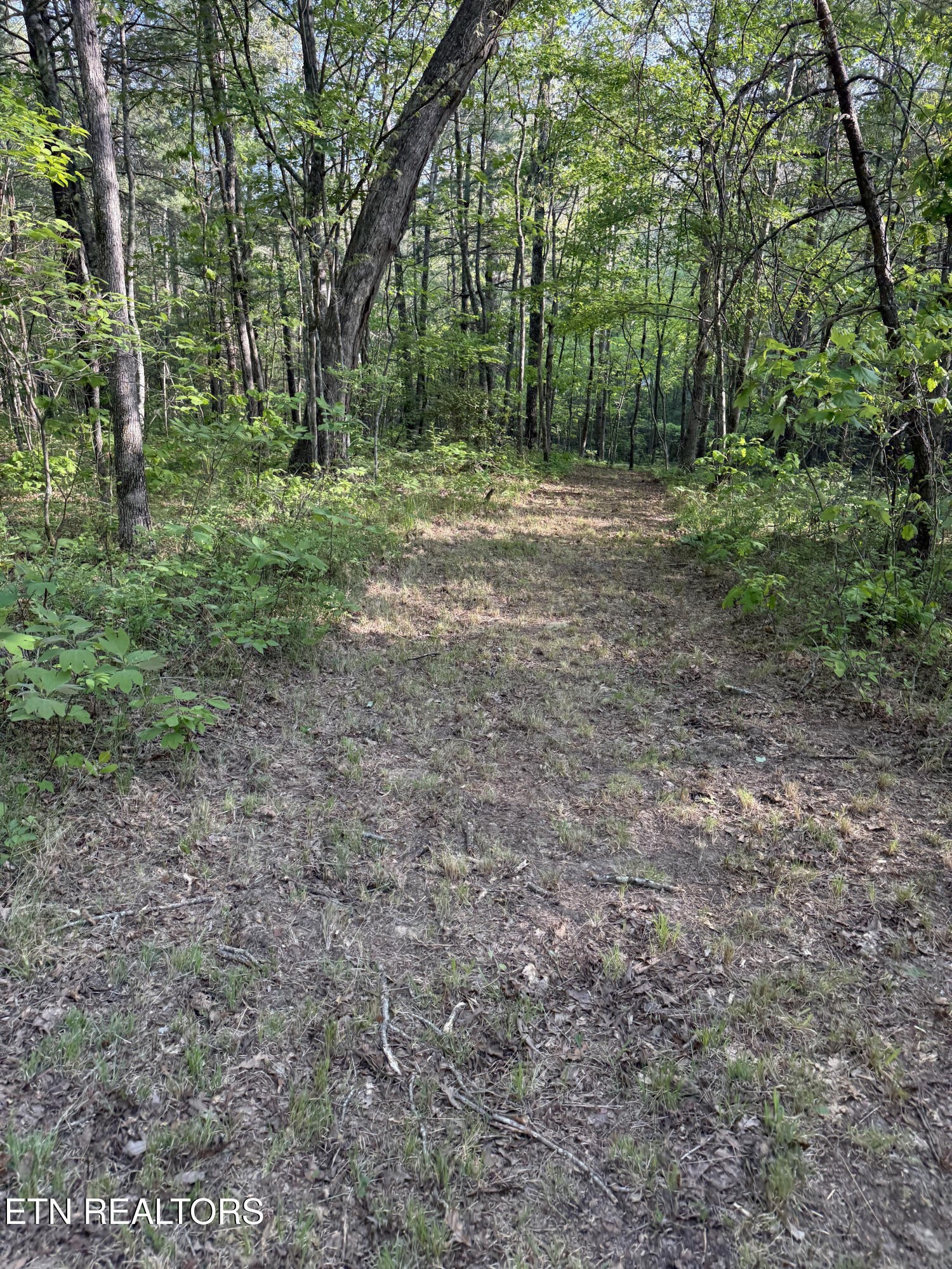 0 Genesis Road - 10.14 Acres Crossville TN 38571