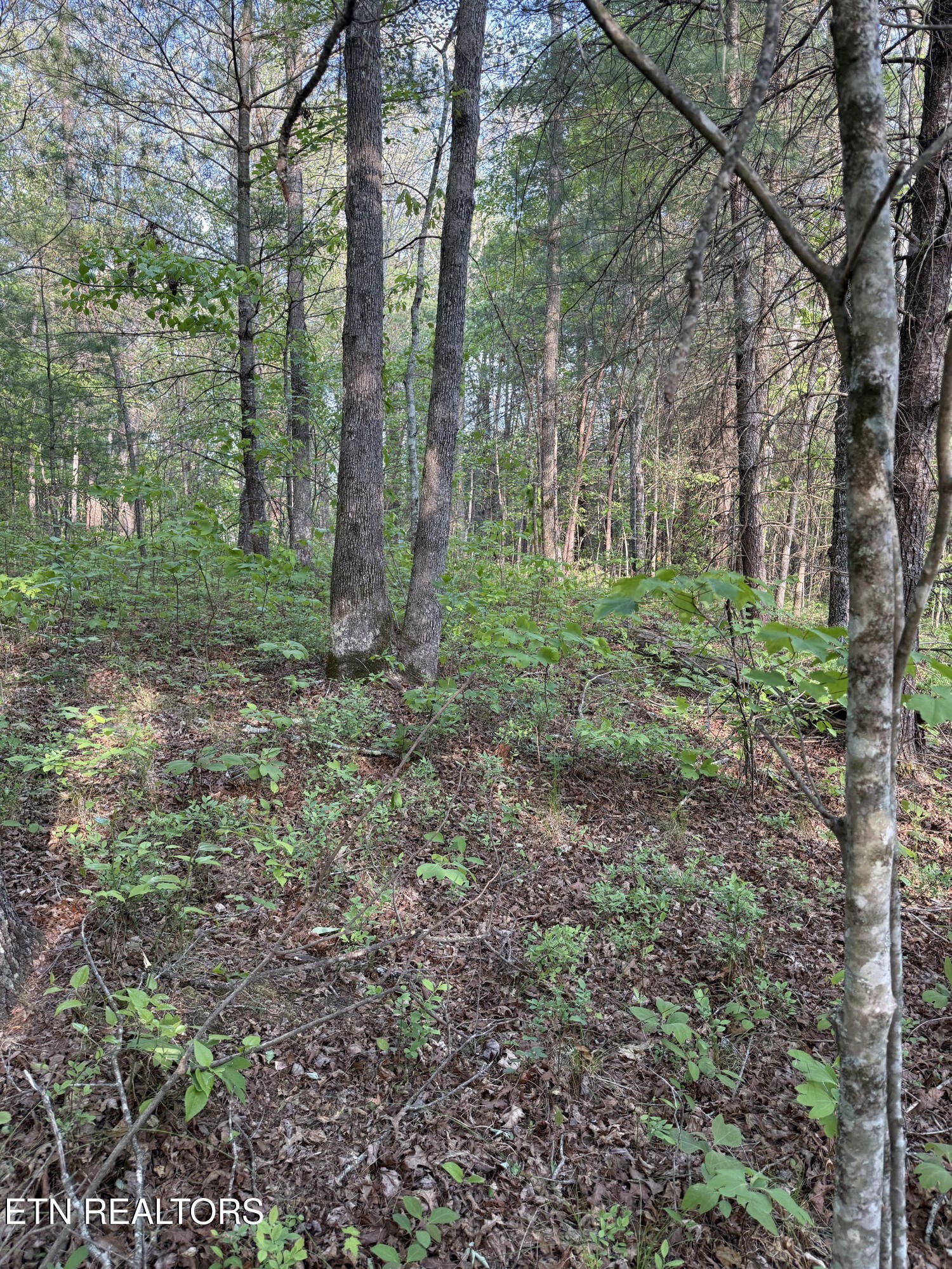 0 Genesis Road - 10.14 Acres Crossville TN 38571