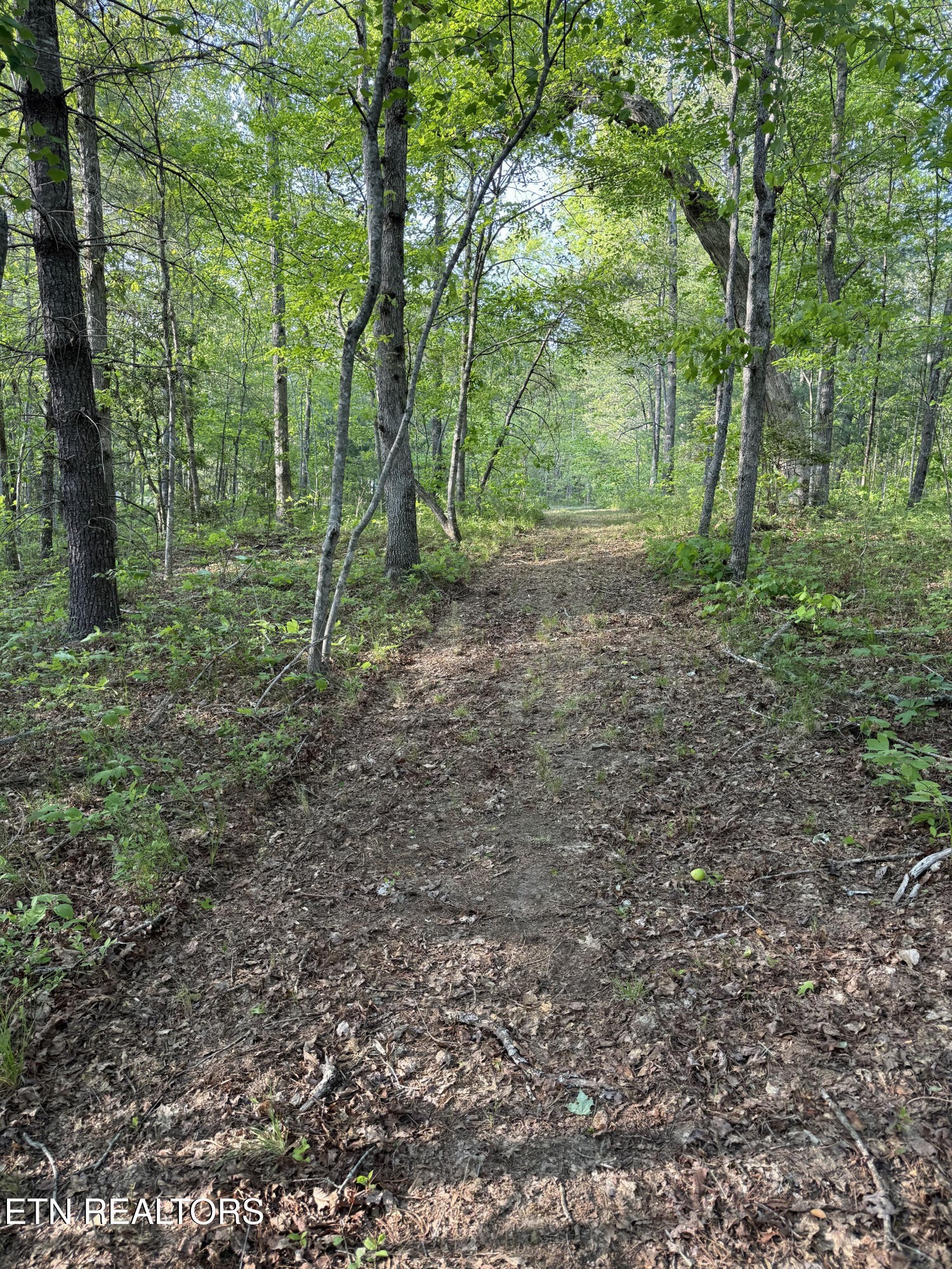 0 Genesis Road - 10.14 Acres Crossville TN 38571