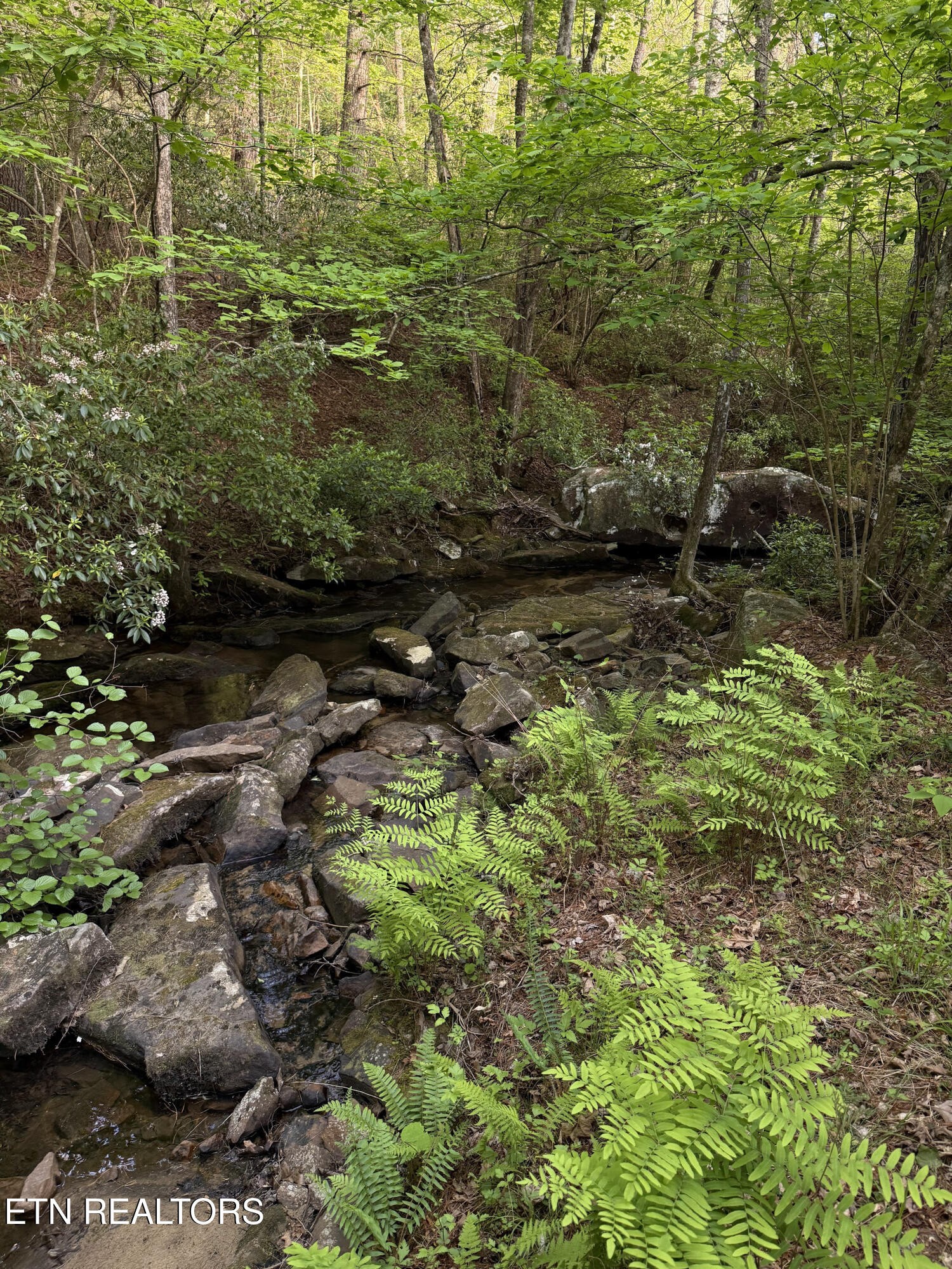 0 Genesis Road - 10.14 Acres Crossville TN 38571