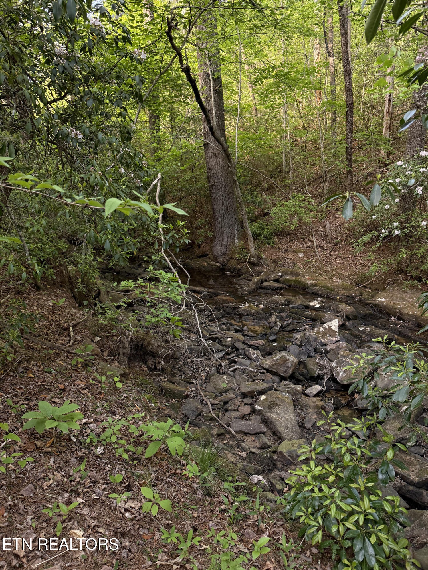 0 Genesis Road - 10.14 Acres Crossville TN 38571