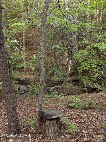 0 Genesis Road - 10.14 Acres Crossville TN 38571