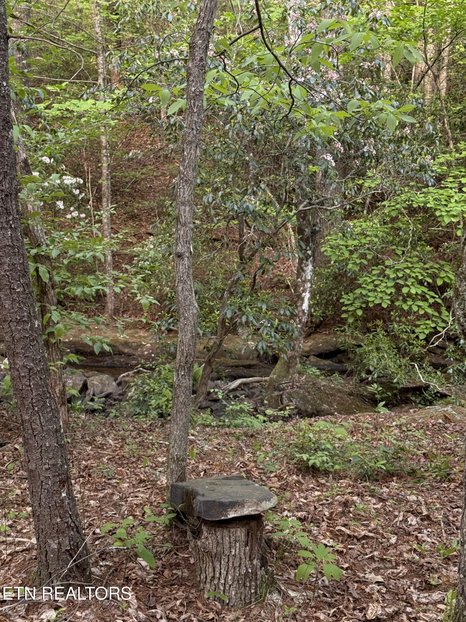 0 Genesis Road - 10.14 Acres Crossville TN 38571