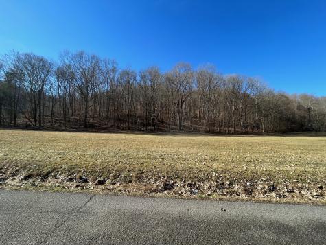 0 Wolf Hill Road Bethpage TN 37022