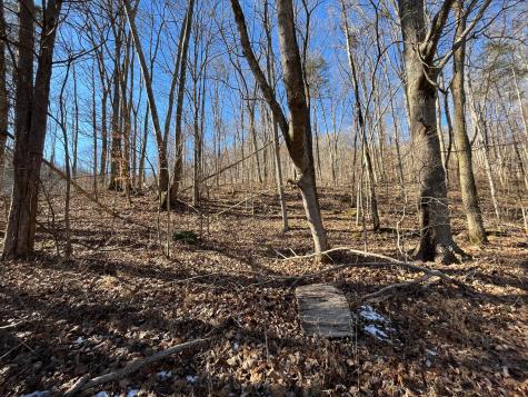 0 Wolf Hill Road Bethpage TN 37022