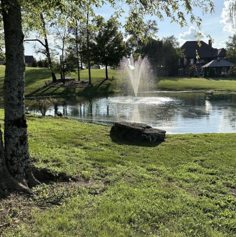 410 Jennings Ln, NW Shelbyville TN 37160