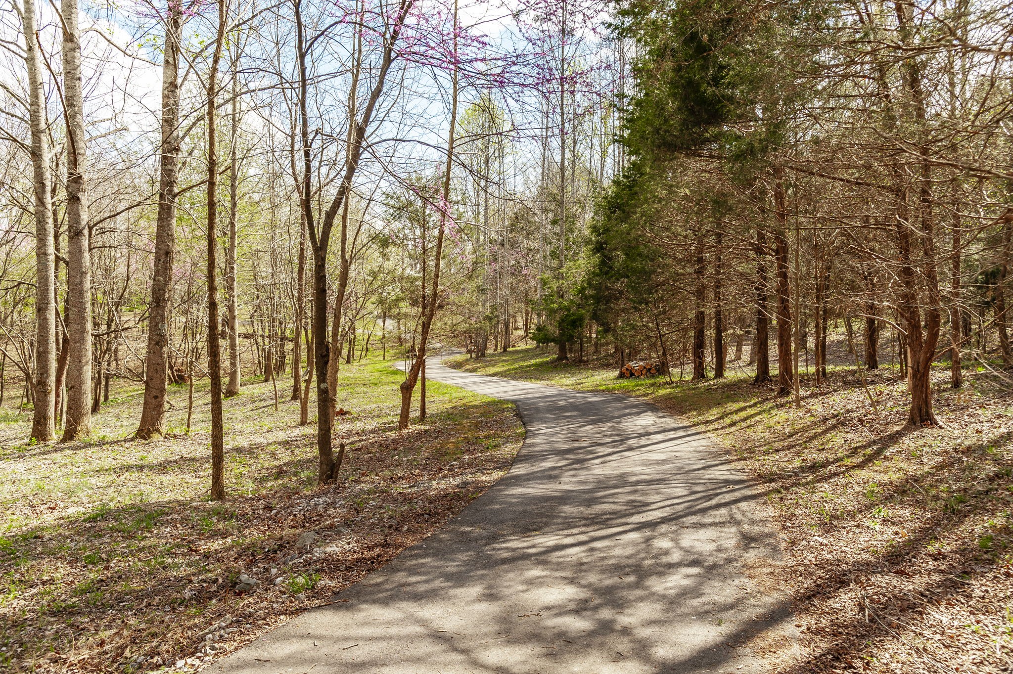 3376 Highway 52, E Bethpage TN 37022