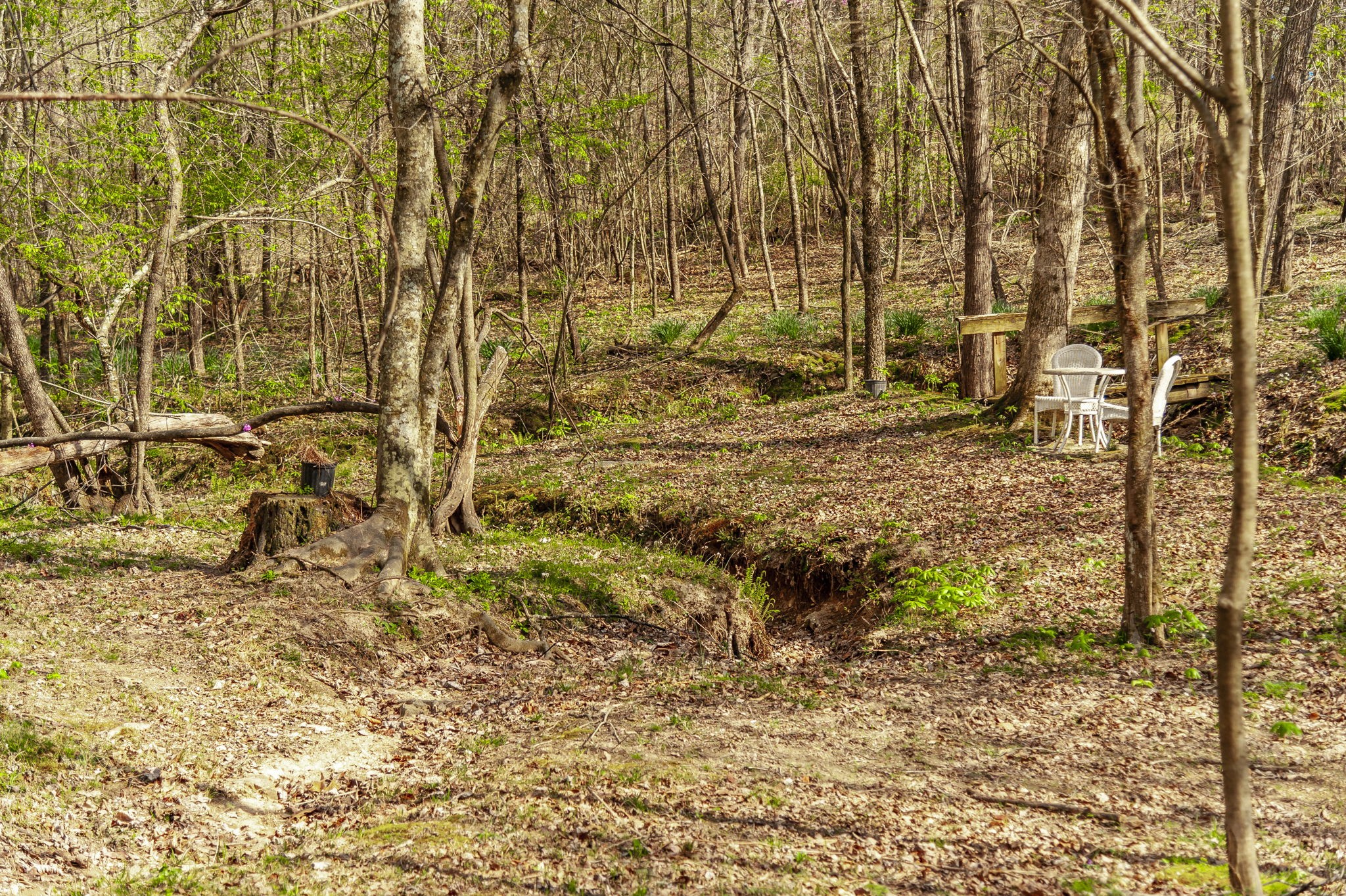 3376 Highway 52, E Bethpage TN 37022
