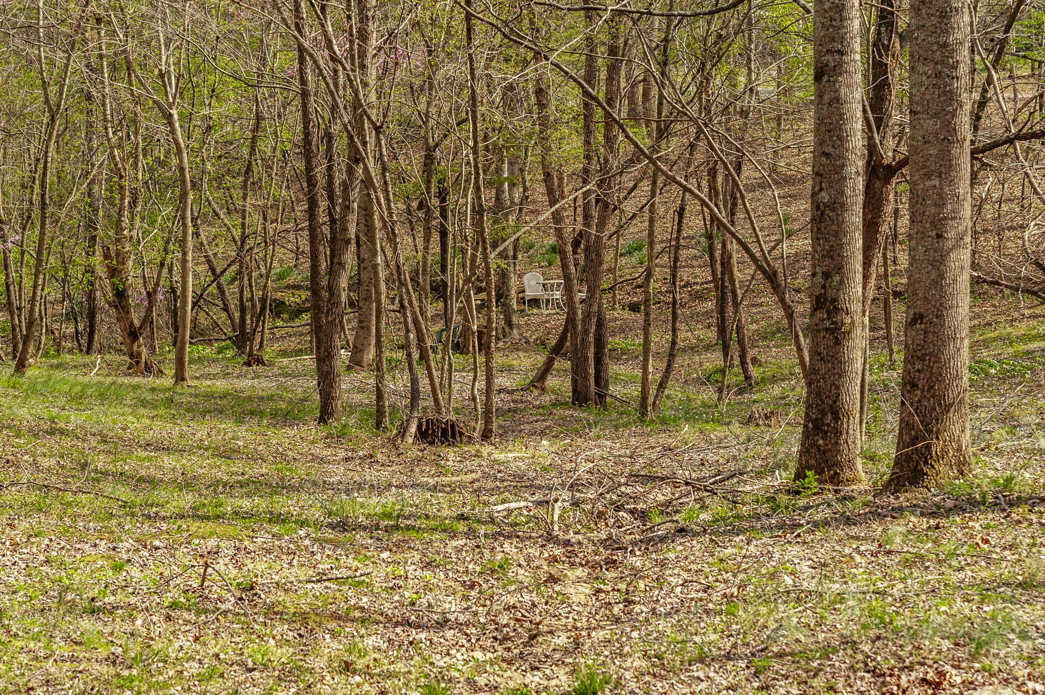 3376 Highway 52, E Bethpage TN 37022
