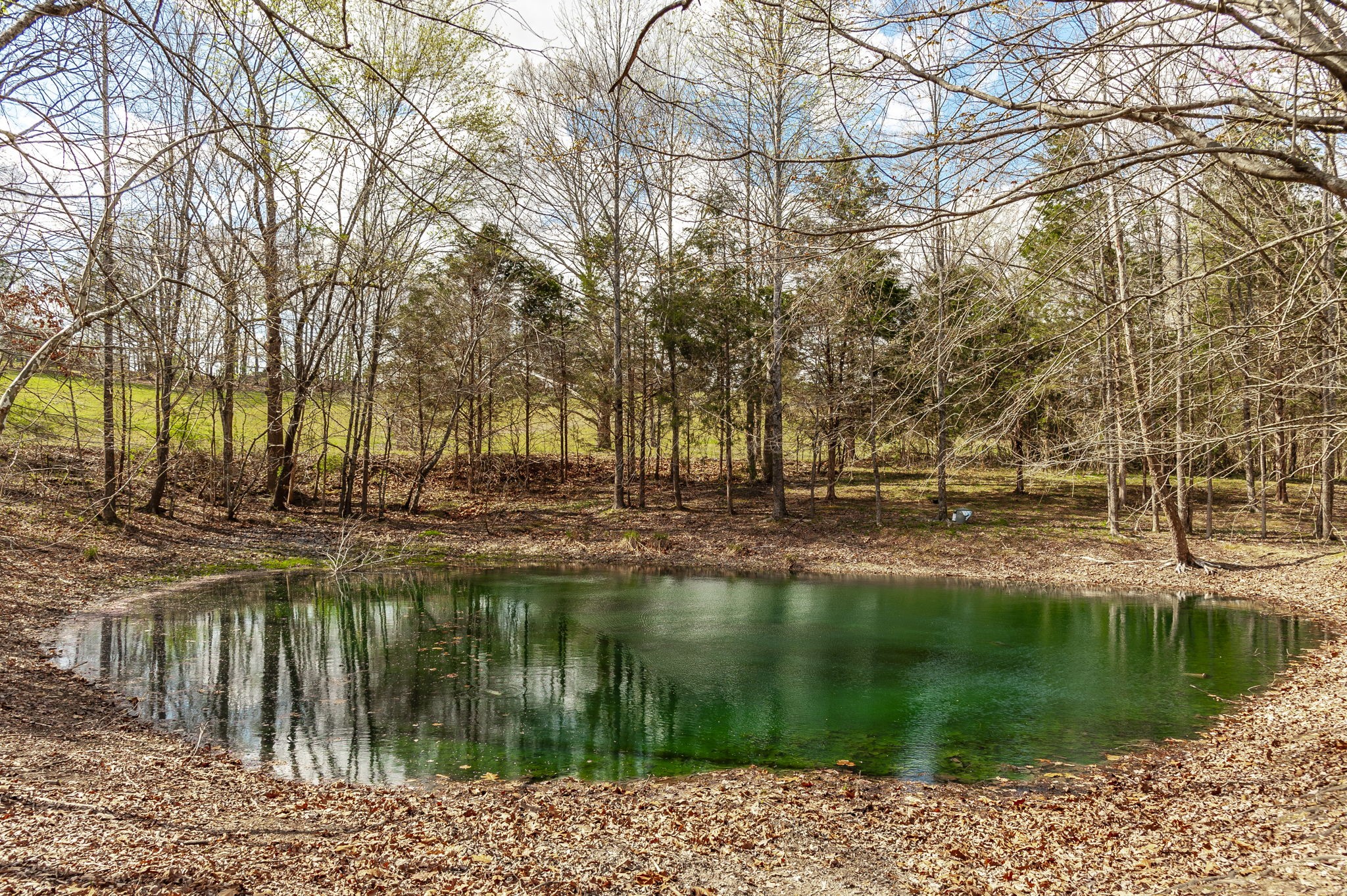 3376 Highway 52, E Bethpage TN 37022