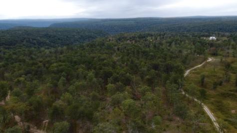 450 Poplar Springs Road Tracy City TN 37387