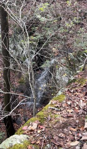 450 Poplar Springs Road Tracy City TN 37387