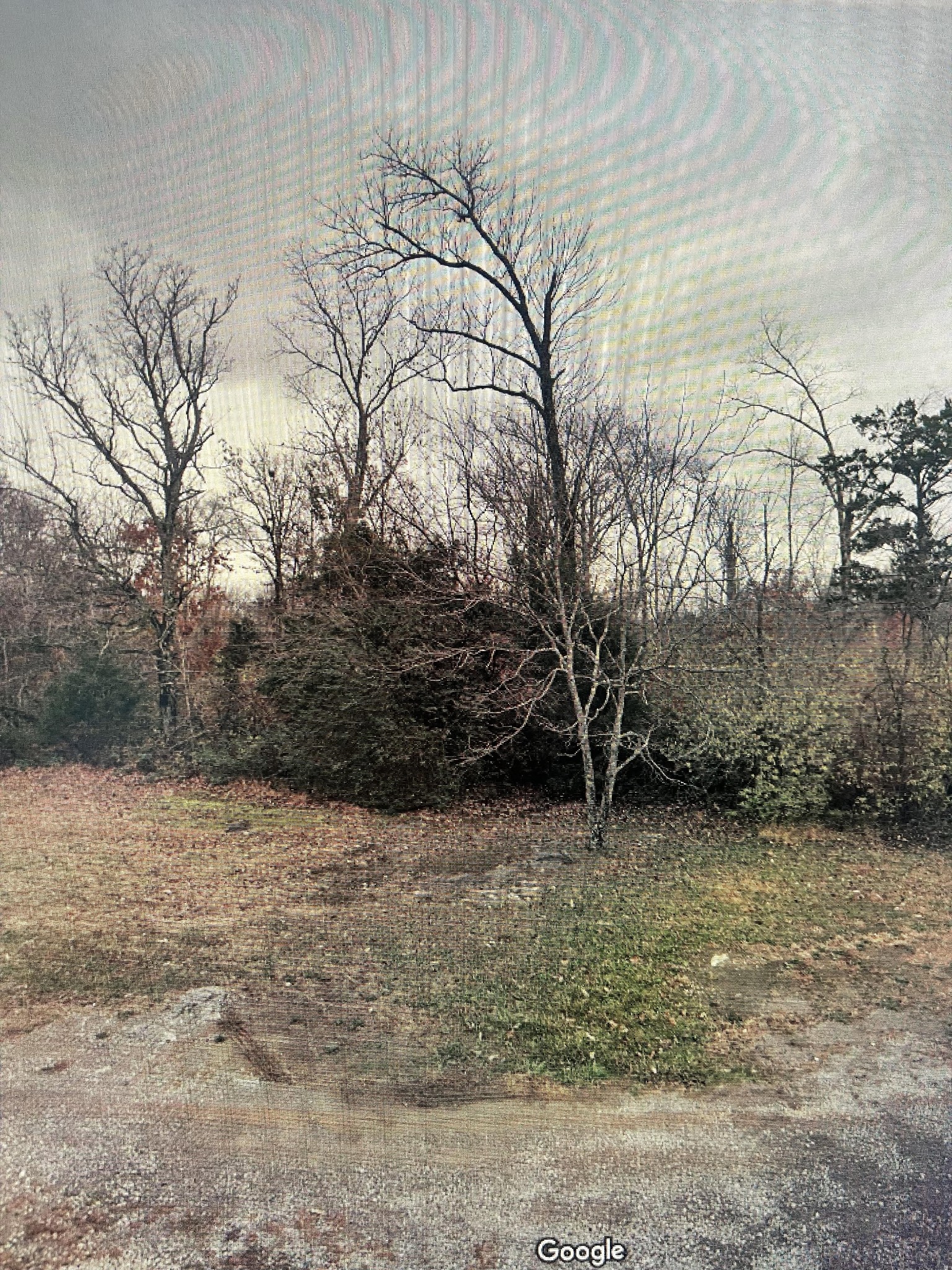 4199 Beckwith Road Mount Juliet TN 37122
