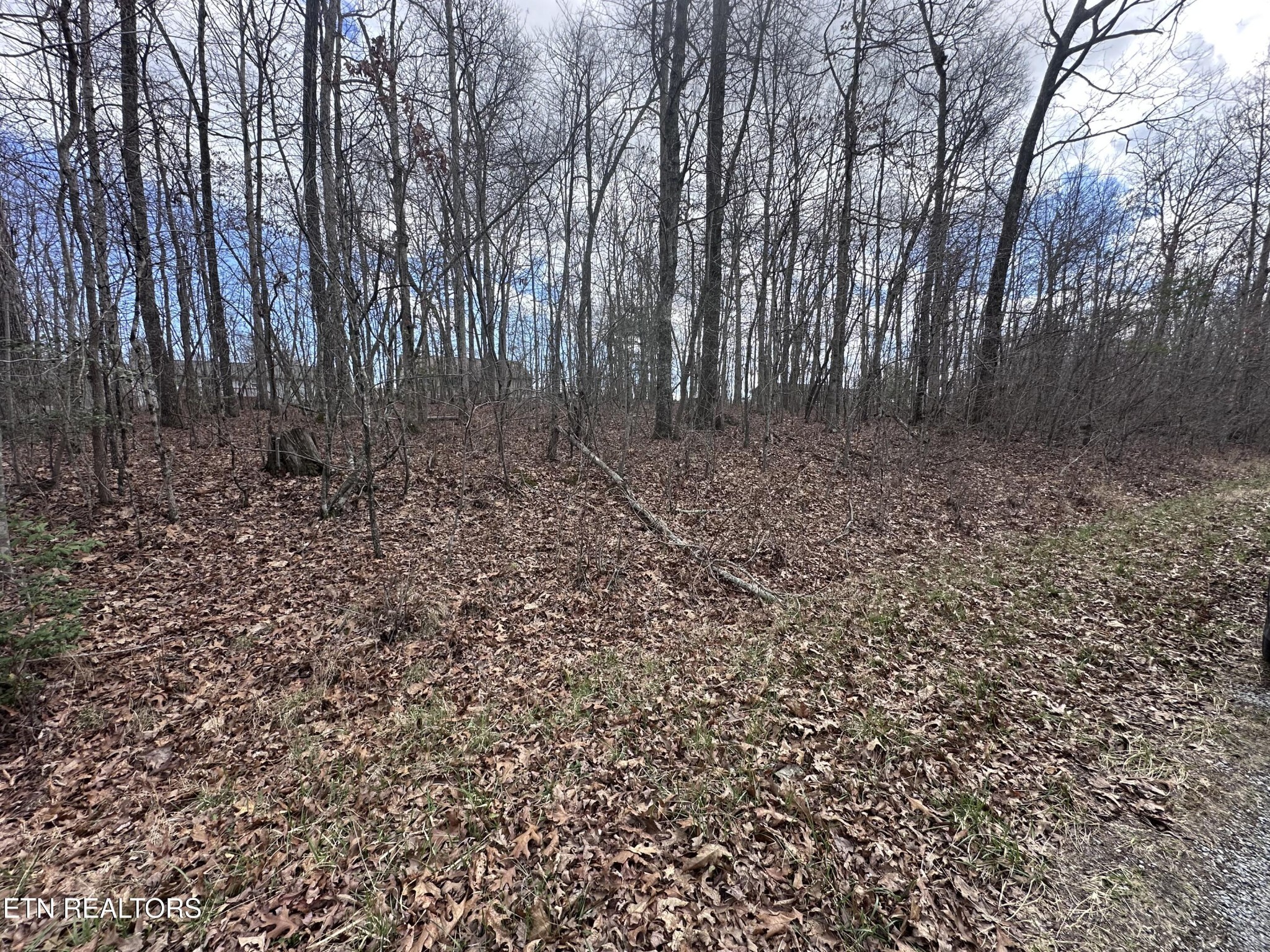 0 Tama Trace #9 Crossville TN 38572