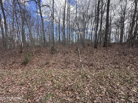0 Tama Trace #9 Crossville TN 38572