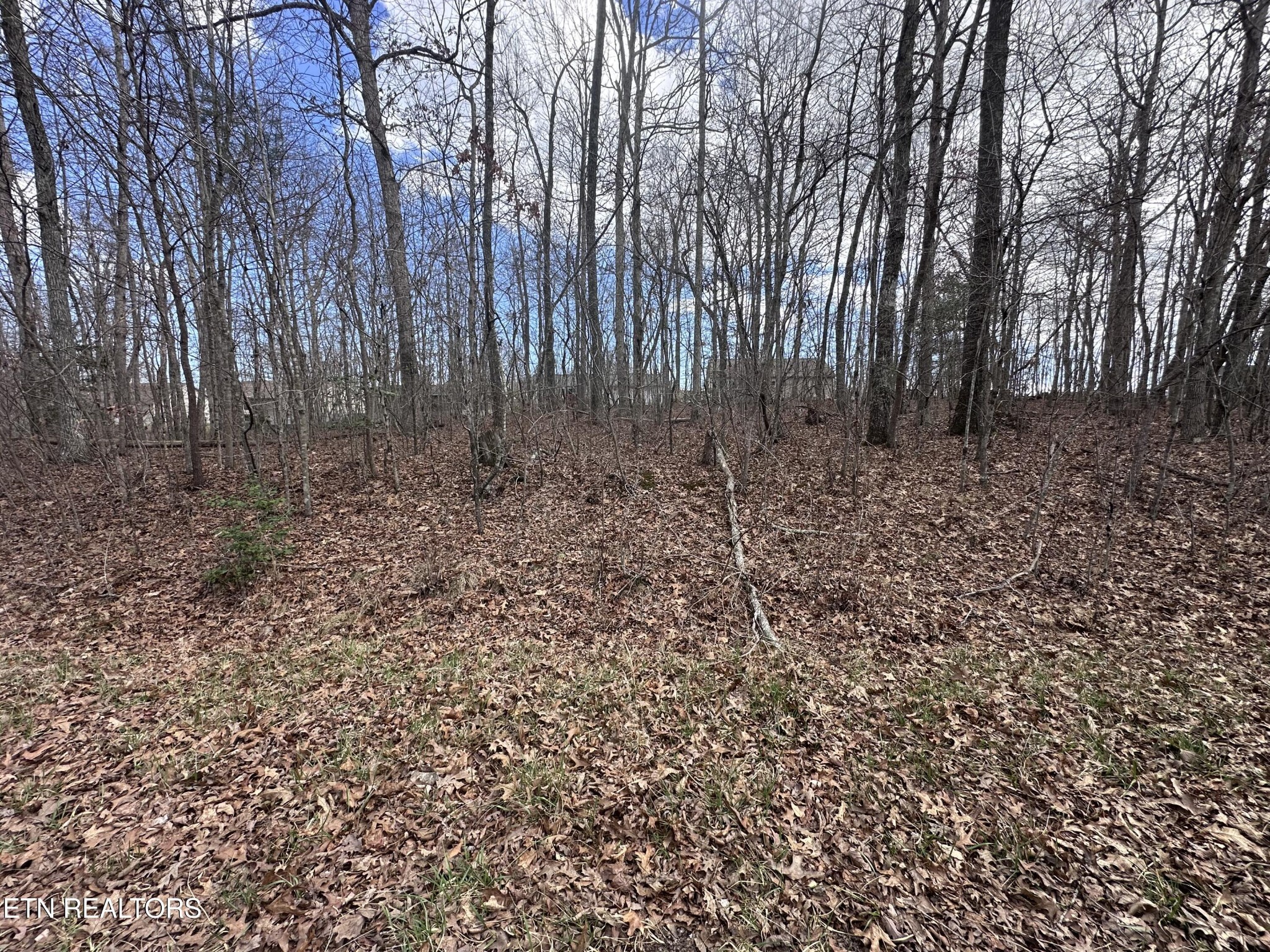 0 Tama Trace #9 Crossville TN 38572