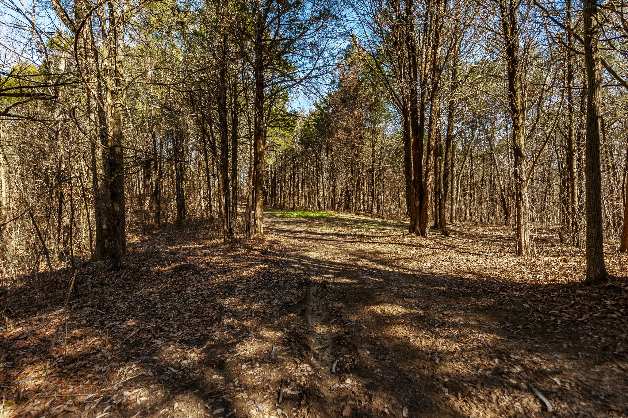 8870 Rocky Fork Road Smyrna TN 37167