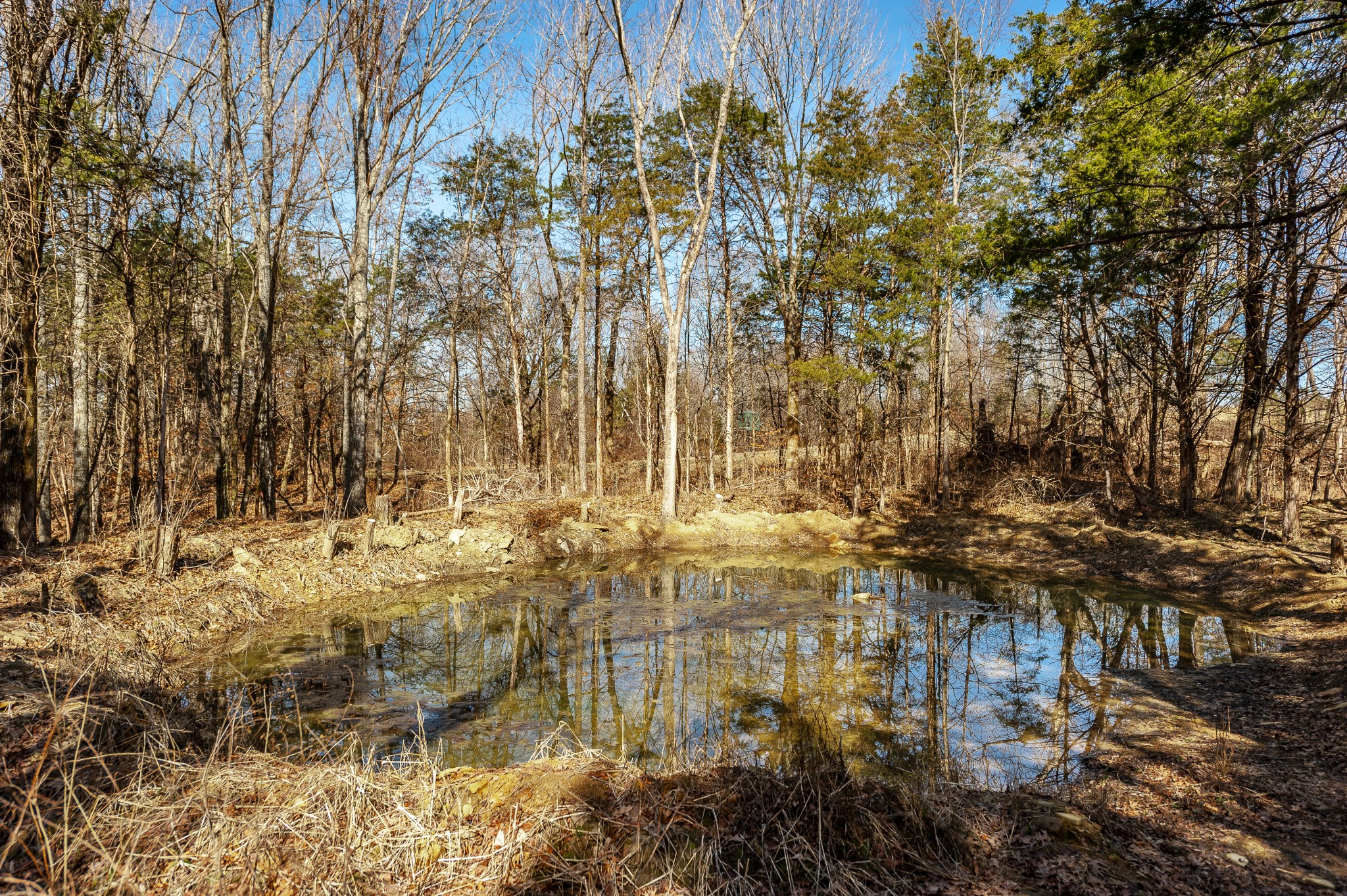 8870 Rocky Fork Road Smyrna TN 37167