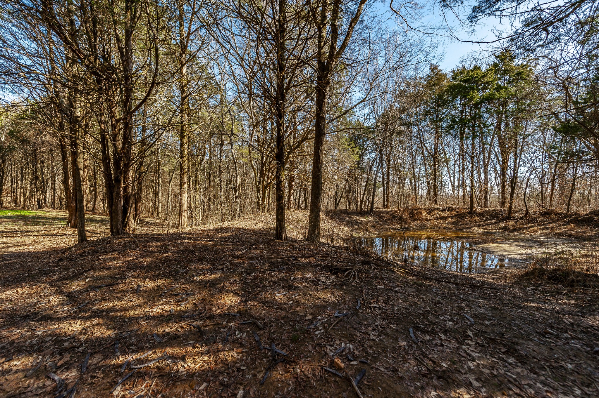 8870 Rocky Fork Road Smyrna TN 37167