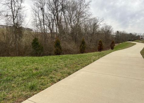 4168 Lively Street Columbia TN 38401