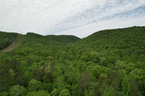 0 Murphy Hollow Road Trenton GA 30752