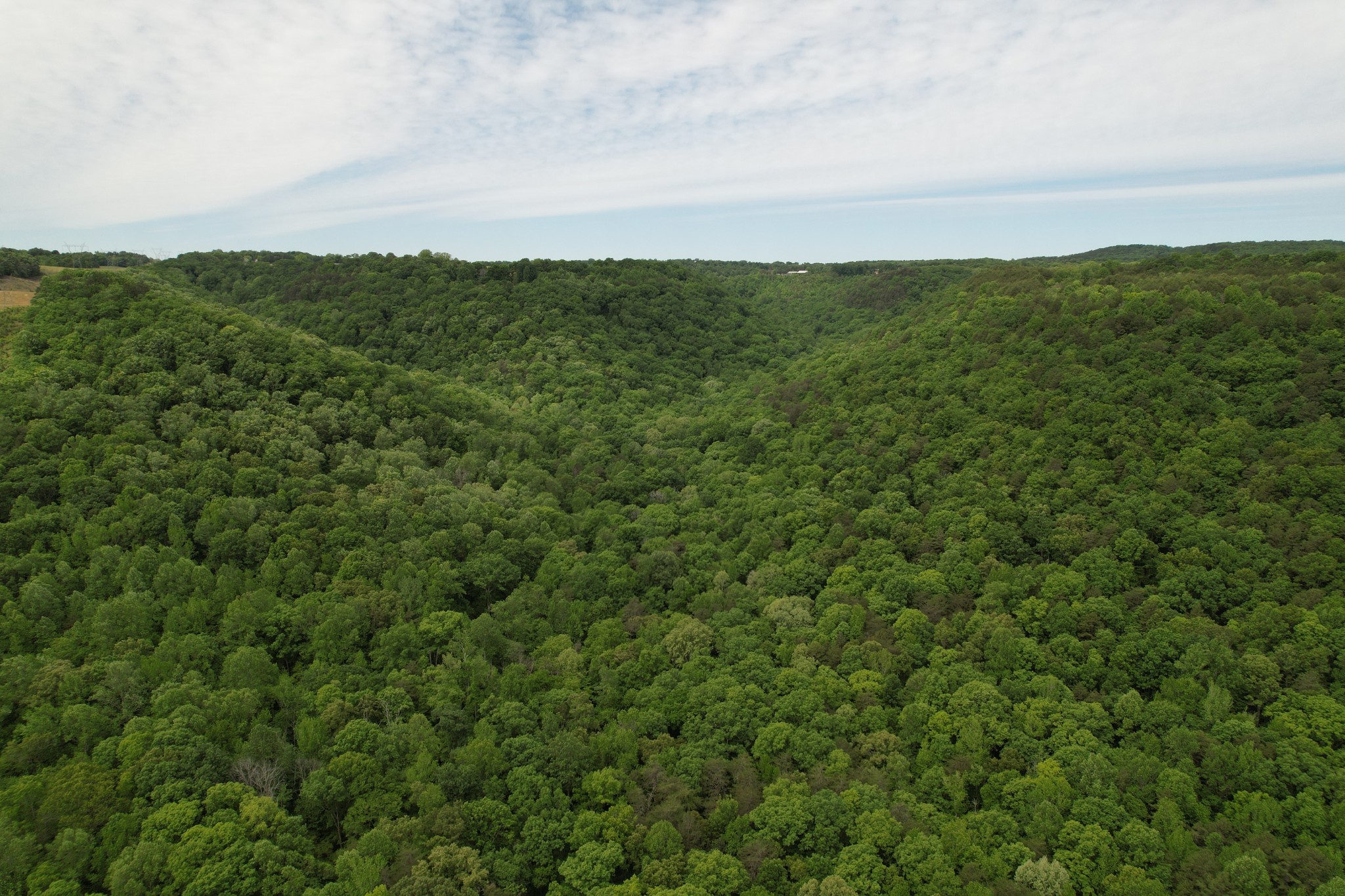 0 Murphy Hollow Road Trenton GA 30752