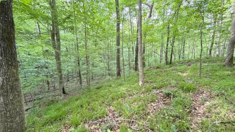 0 Murphy Hollow Road Trenton GA 30752