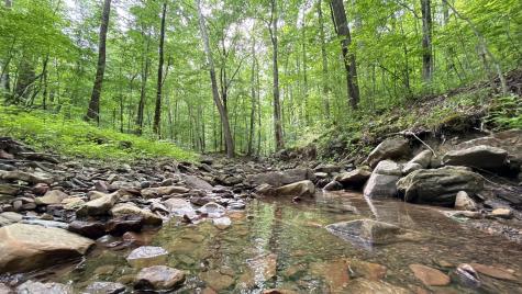 0 Murphy Hollow Road Trenton GA 30752